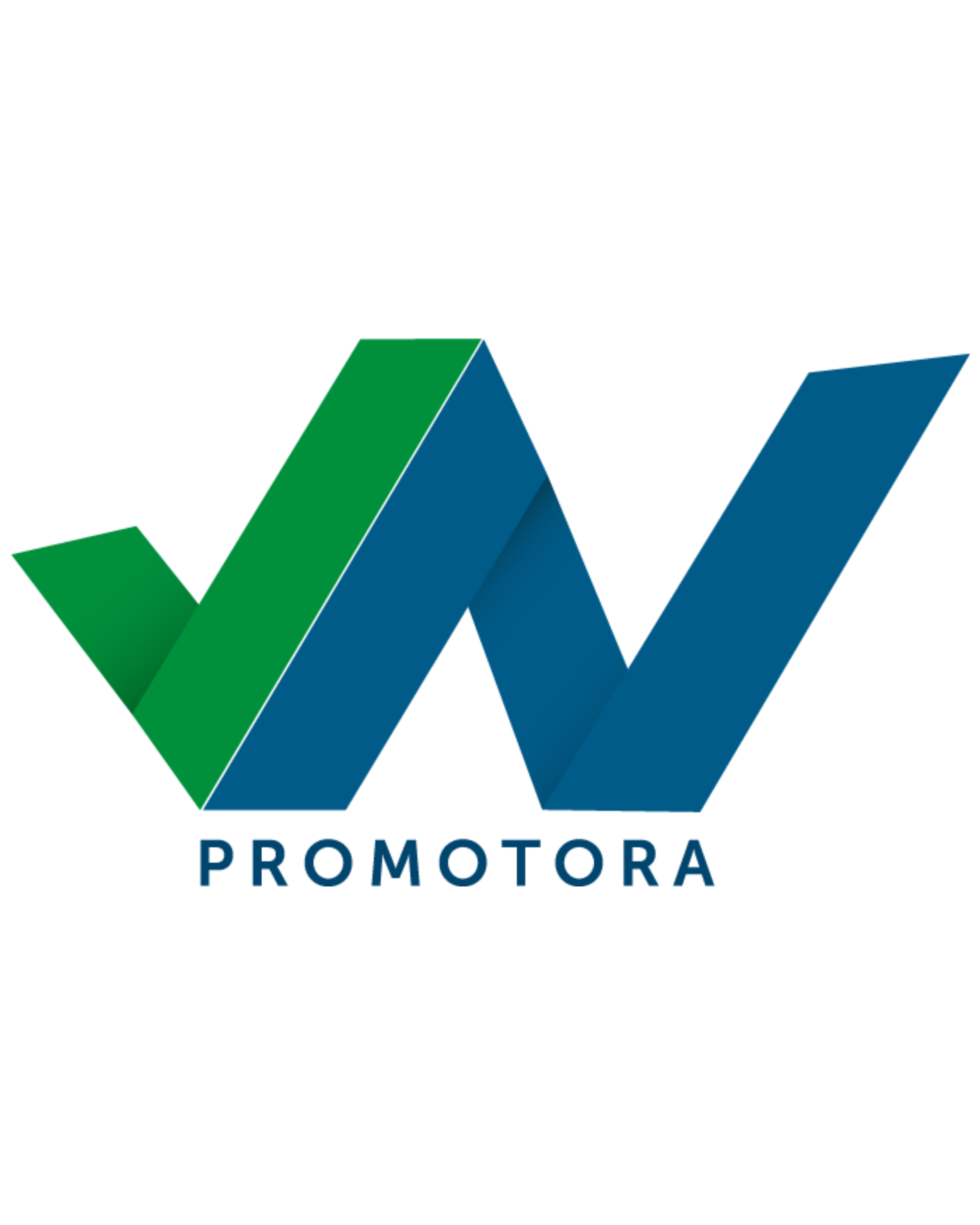 VN Promotora